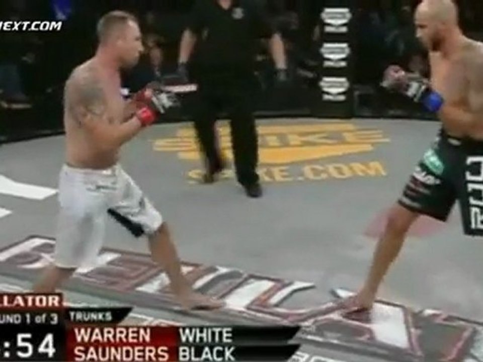 B3n S4und3rs vs Br14n VV4rr3n