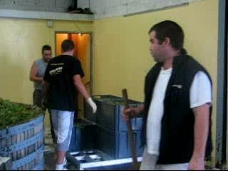 4000kg de l'ilot des "Sables"