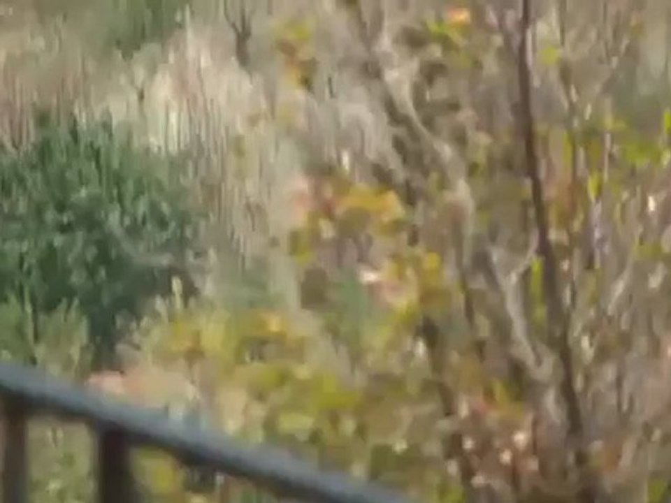 Syria فري برس  ادلب قصف المنازل الامنة في قرية مرعيان المحتله جبل الزاويه 19 7 2012 Idlib