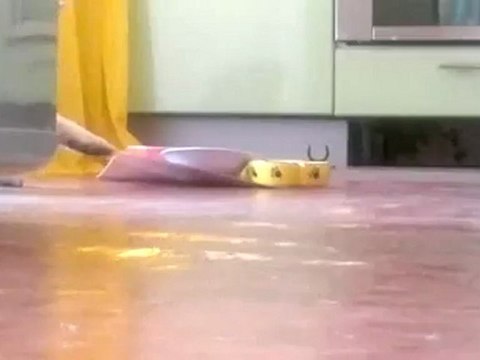 Не мешайте котэ, котэ любит есть в одиночестве