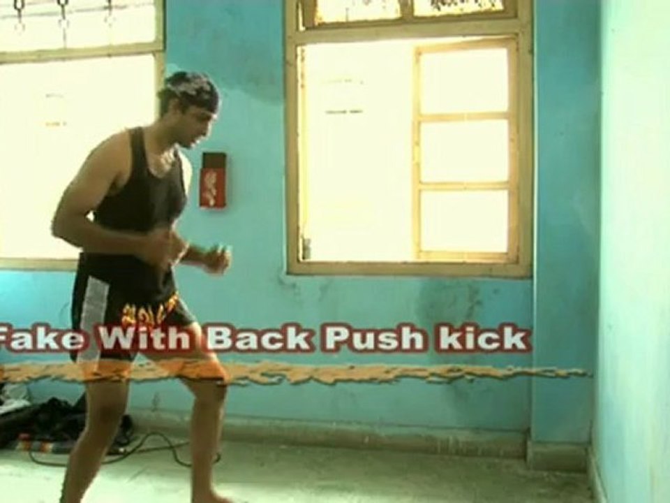 Deadly Art :  Fake with a Back Push Kick