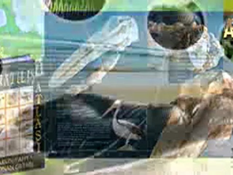 YARATILIŞ ATLASI 4. CİLT EVRİMCİLERİ KIZDIRMAYA DEVAM EDİYOR