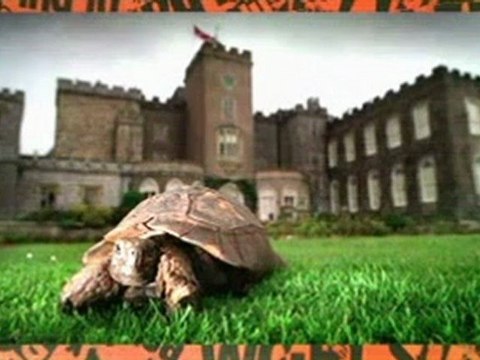 HIGNFY S27E01 - Alexander Armstrong, Les Dennis & Germaine Greer