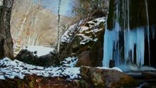 Суровая Арктика. Тайга (Серия 1)