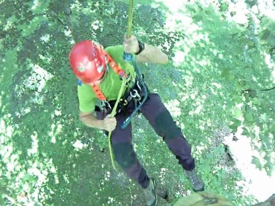 FK5 L'arboriste Grimpeur