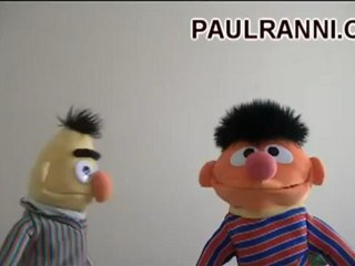 Bert and Ernie fight over Paul Ranni