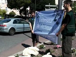 Action Pétition à une station Shell - Greenpeace Toulouse