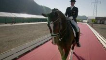Alpen Adria Dressage Trophy 2012 - Glock Horse Performance Center