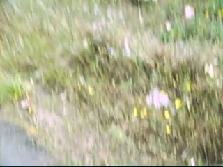 Avião pousando,......tombo