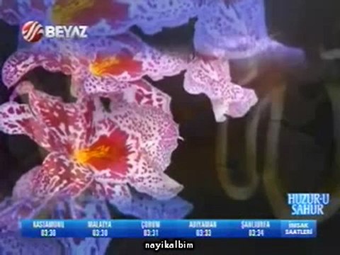 Sordum sarı çiçeğe Ramazan 2012 Beyaz Tv