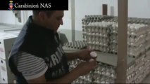 San Severo (FG) -  Sequestrate di Nas oltre 26mila uova irregolari (21.07.12)