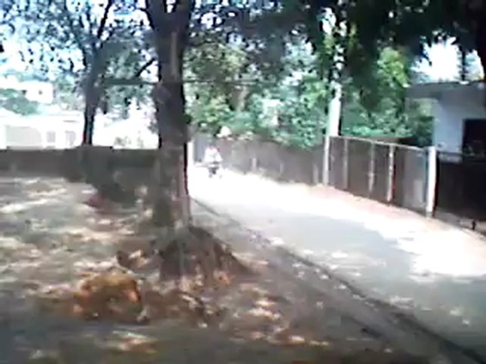 videoplayback_2