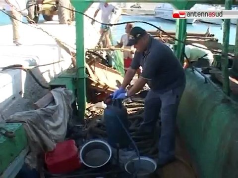 TG 16.07.12 Centoventisette migranti nel porto di Bari, 7 i ricoveri