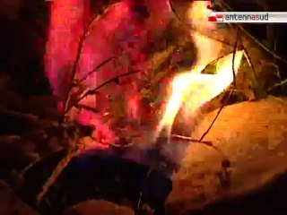 TG 12.07.12 Luci, mare e amici per ricordare Anna Costanzo