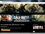 Free Call of Duty: Black Ops 2 Beta Keys Leaked Tutorial