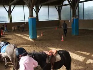 Lecon 2 : On maitrise son poney