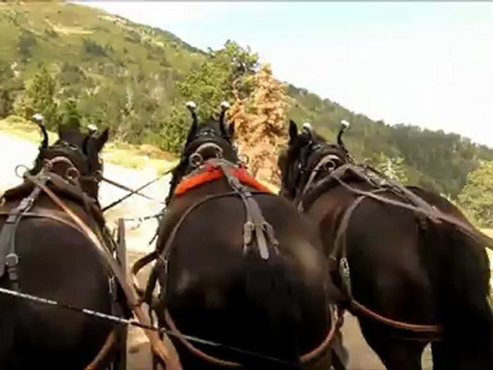 Canigou2012