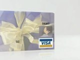 Get a FREE Visa Gift Card Now!