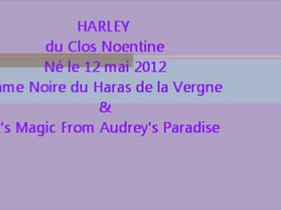 harley du Clos Noentine