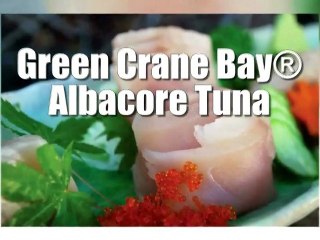 Green Crane Bay Albacore Tuna