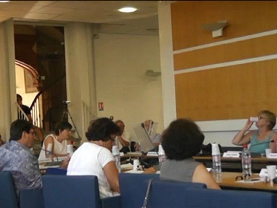 CM 17/07/2012 - Budget (1) -  Interventions Opposition