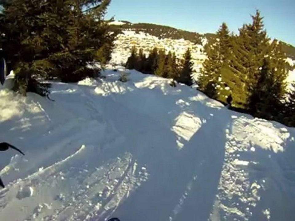 le ski février