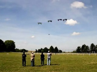 Festival International de cerf-volant - Auxerre juillet 2012