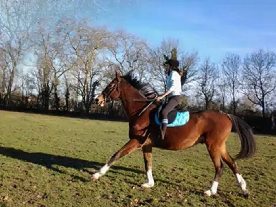 Evolution de mon cheval, Gamin.