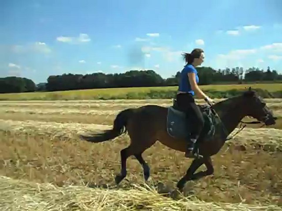 Tj et moi dans le champs de paille