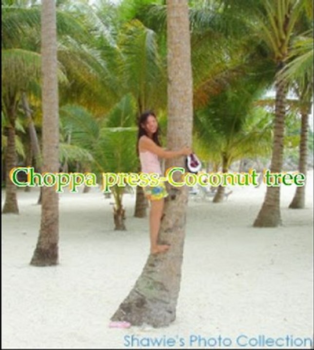 Choppa Press-Coconut tree