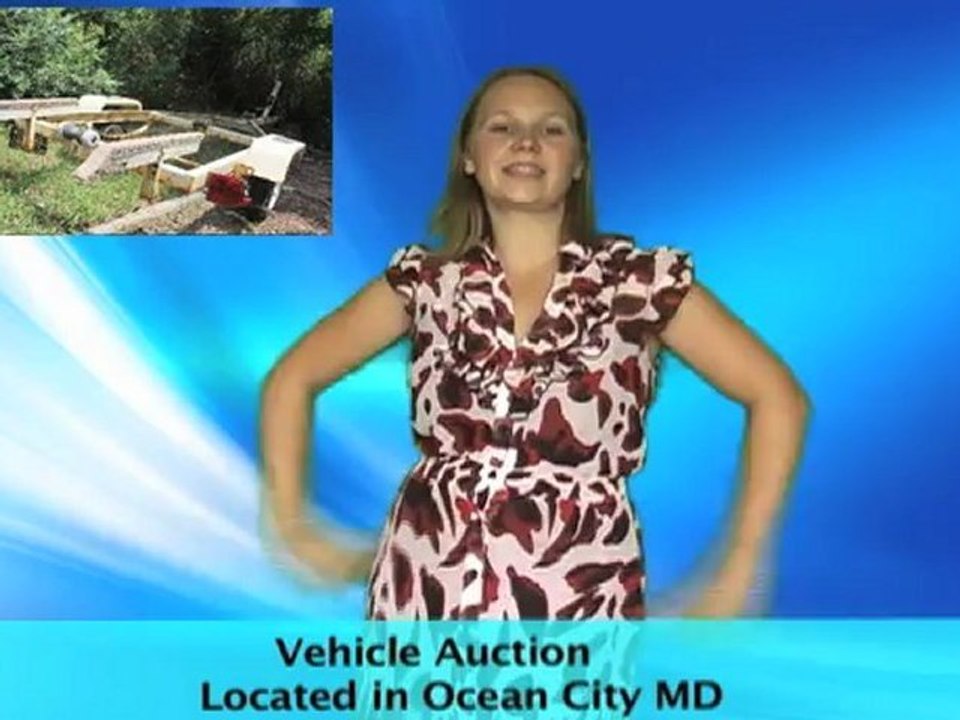 Vehicle Auction