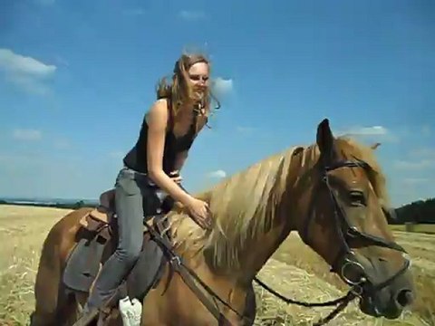 Kaizer galop champs de paille