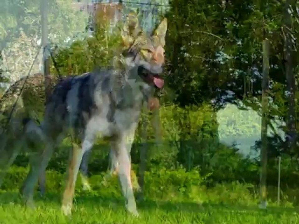 W.E Alexia-Seb Elodie