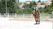 Mon premier montage vidéo, mes premiers cours avec Nidial, mon passage de galop 3. ♥