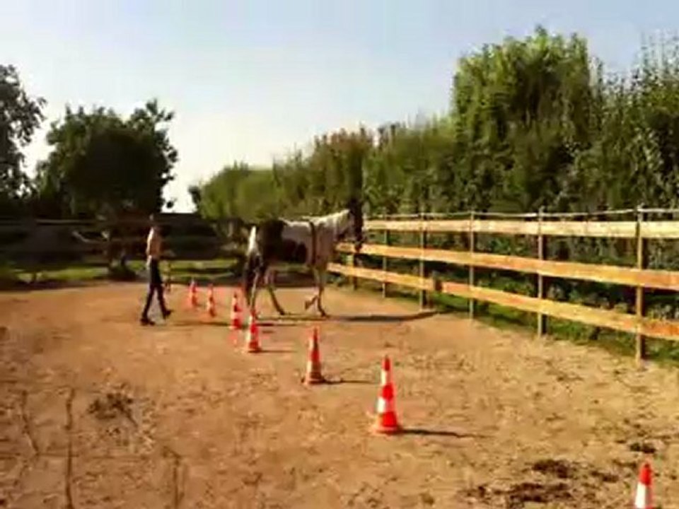 uxiana