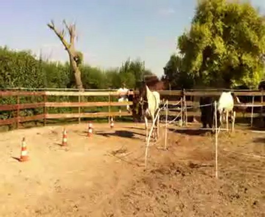 uxiana 003 longue rene