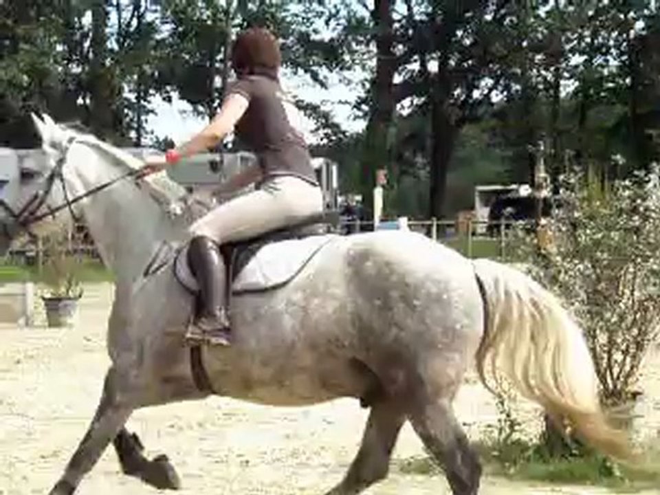 Club2 : Concours de Sauts d'obstacles au Boulerie Jump: Elise se classe 3ème ex aequo avec PHOENIX