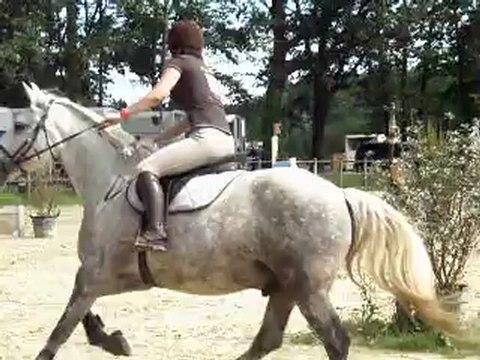 Club2 : Concours de Sauts d'obstacles au Boulerie Jump: Elise se classe 3ème ex aequo avec PHOENIX