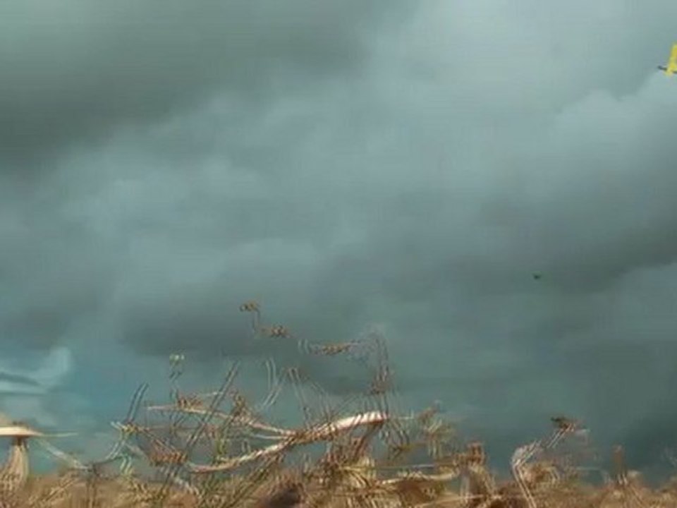 blette chasse pigeon palombes 2012