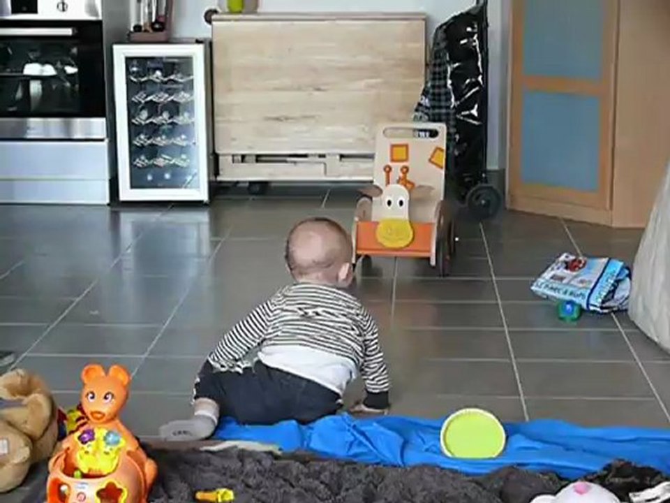 Le 4 pattes version orang outan !!!