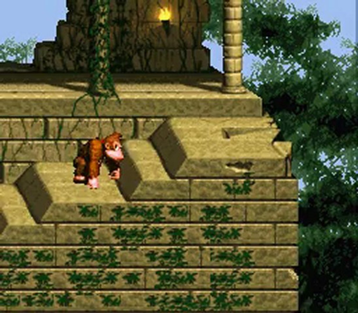 Donkey Kong Country partie5
