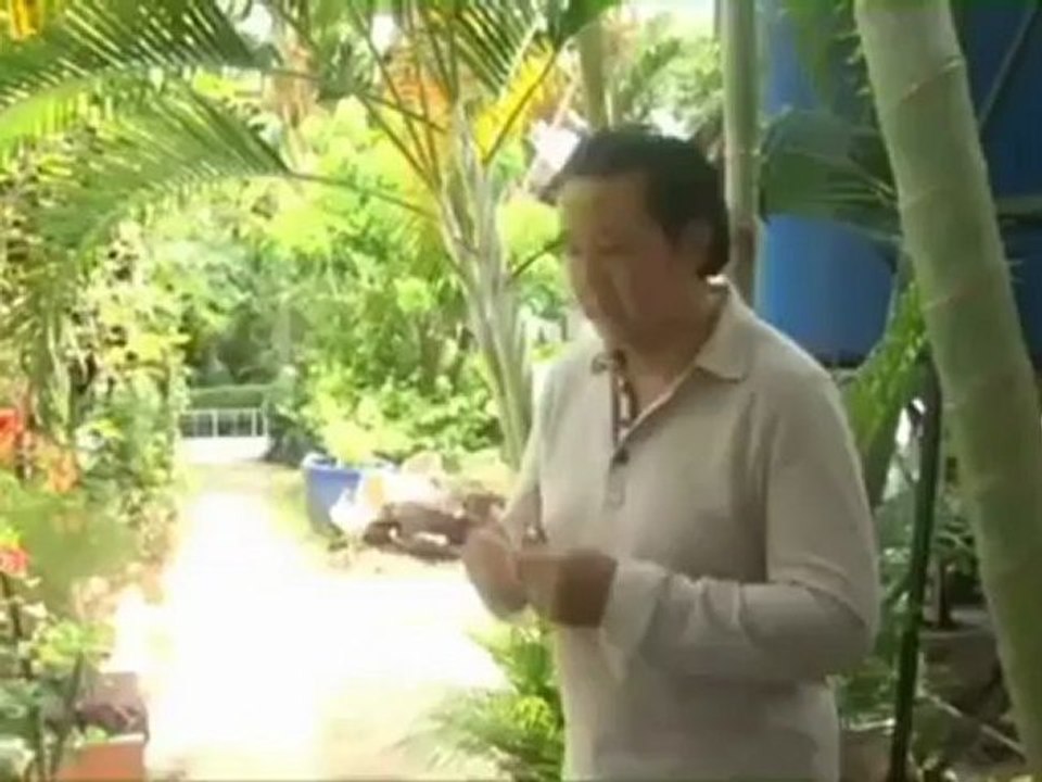 LiveShowBaoQuoc2 Disk2480p H 264 AAC clip2(360p_H.264-AAC)