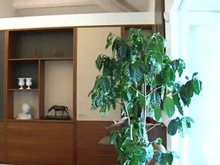 zanetti serve un monti bis