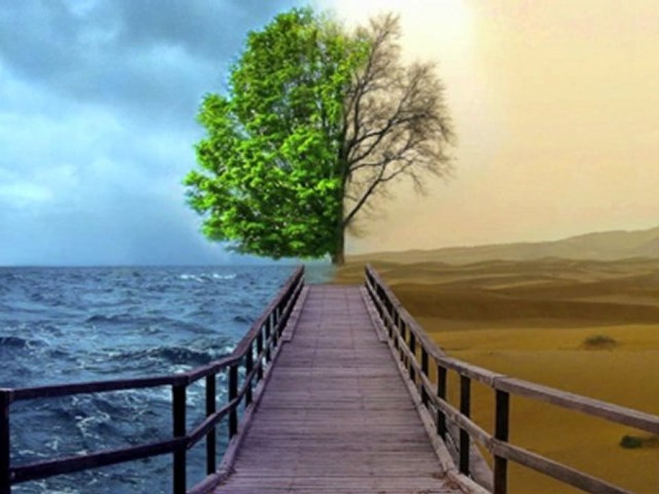 gitan   monpellier     gipsy