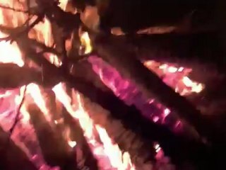 Zur drohenden Räumung des Occupy Frankfurt Camps // Konfrontation statt Transformation