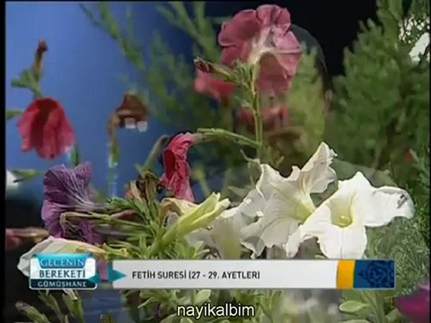 1 Mehmet Karabulut Kuran GÜMÜŞHANE Gecenin bereketi 2012 STV2