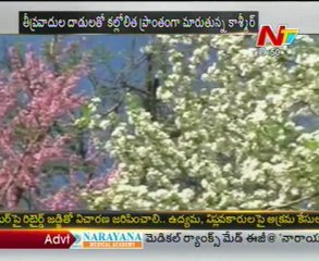 Jammu kashmir govt trails to develop tourism