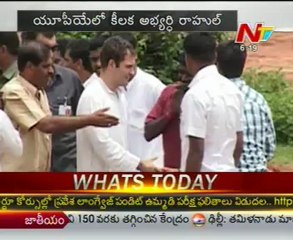 Rahul Gandhi may take charge of Congress party