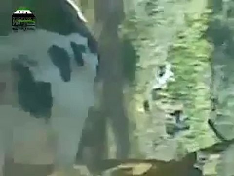 Syria فري برس ريف دمشق حرستا النظام يقتل 8 بقرات حرستا 22 7 2012 Damascus