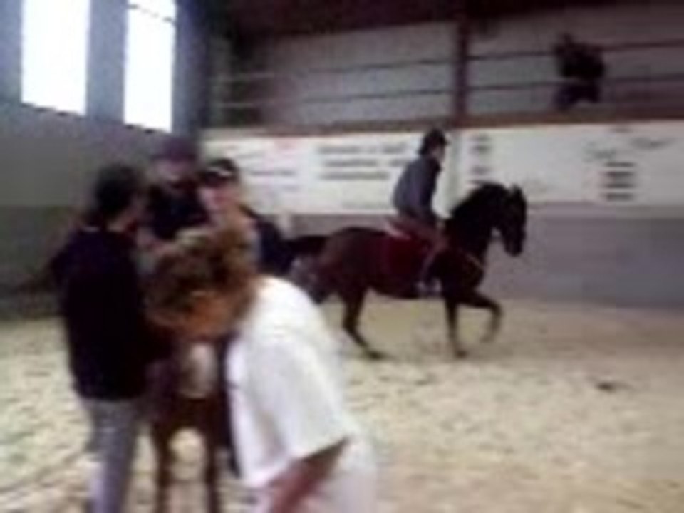 Video-0002